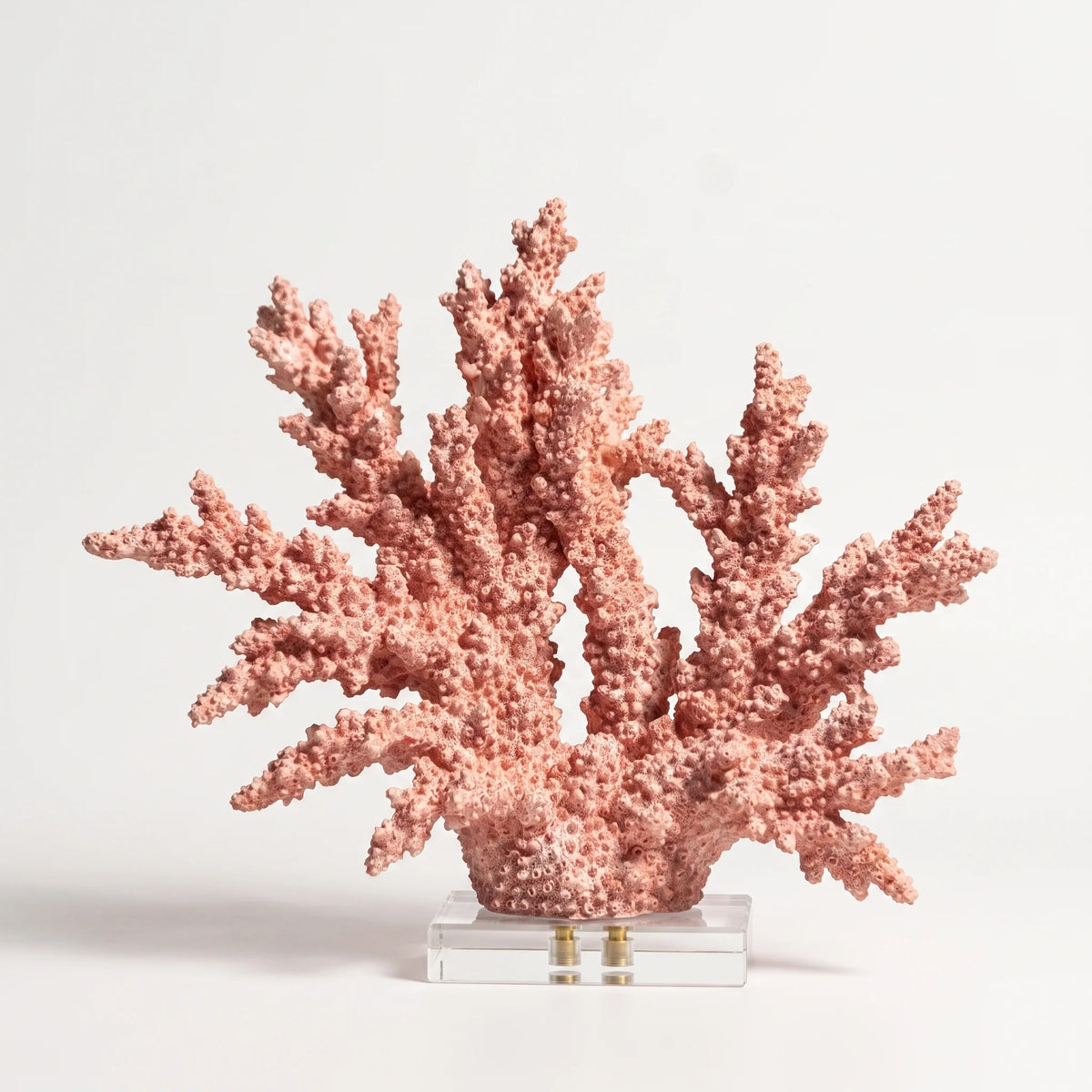 Mira Wall Sculpture Art | Hand-Sculpted Sandstone Resin with Brass Detailing 14