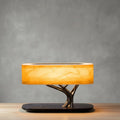 Liora table lamp lit against a grey wall, oval wood-veneer shade on a chrome branch stem