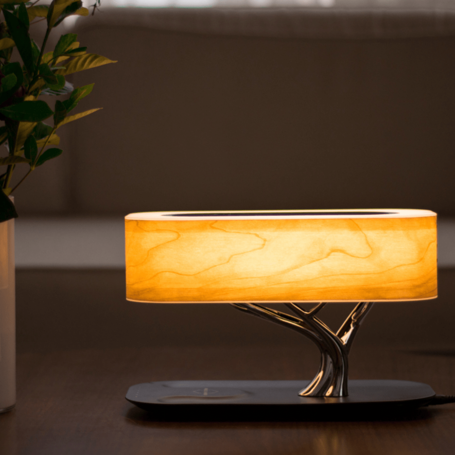 Liora table lamp lit on a dark table beside a leafy plant