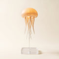 Medusa jellyfish night light glowing on its clear stand, on a cream background, Style Room