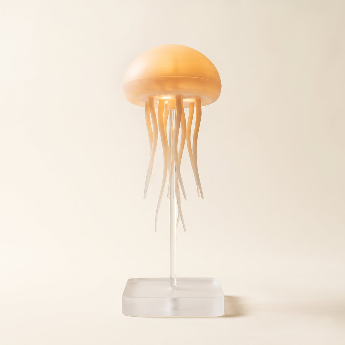 Medusa jellyfish night light glowing on its clear stand, on a cream background, Style Room