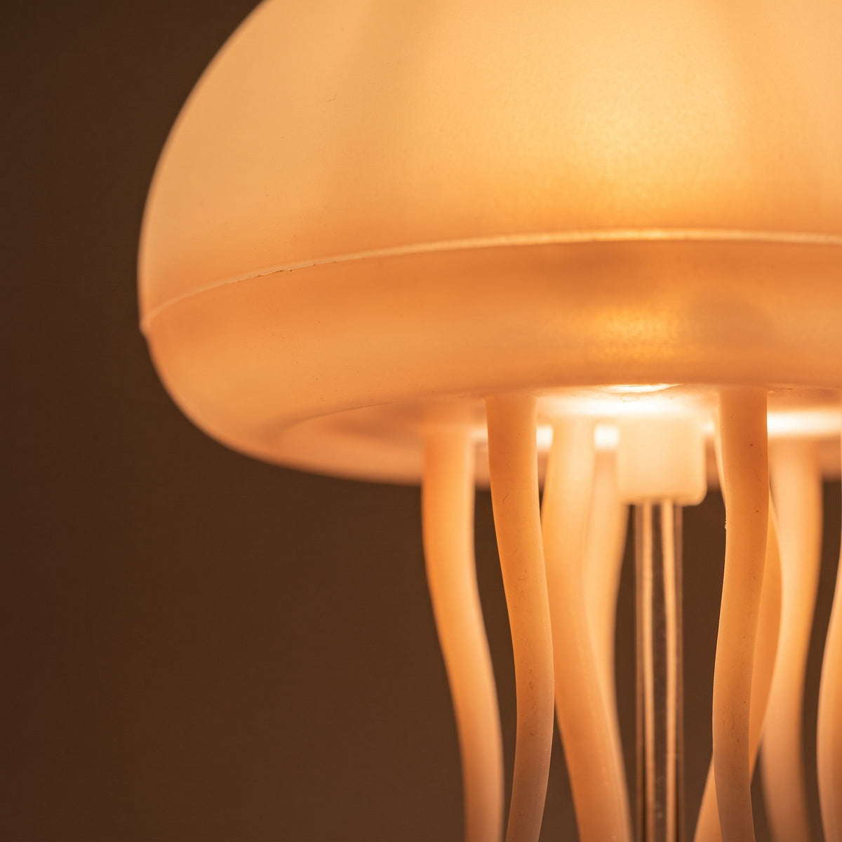 Close detail of the glowing bell and trailing tentacles of the Medusa night light, Style Room